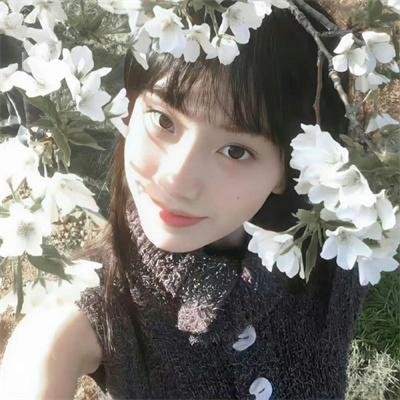 装甲娘战机